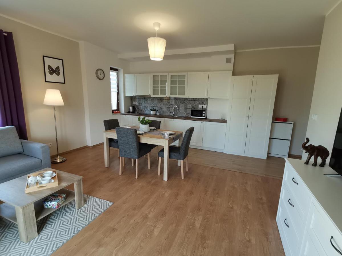 Komfort Apartament Nałęczów Εξωτερικό φωτογραφία